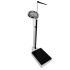 height_weight_measuring_scale